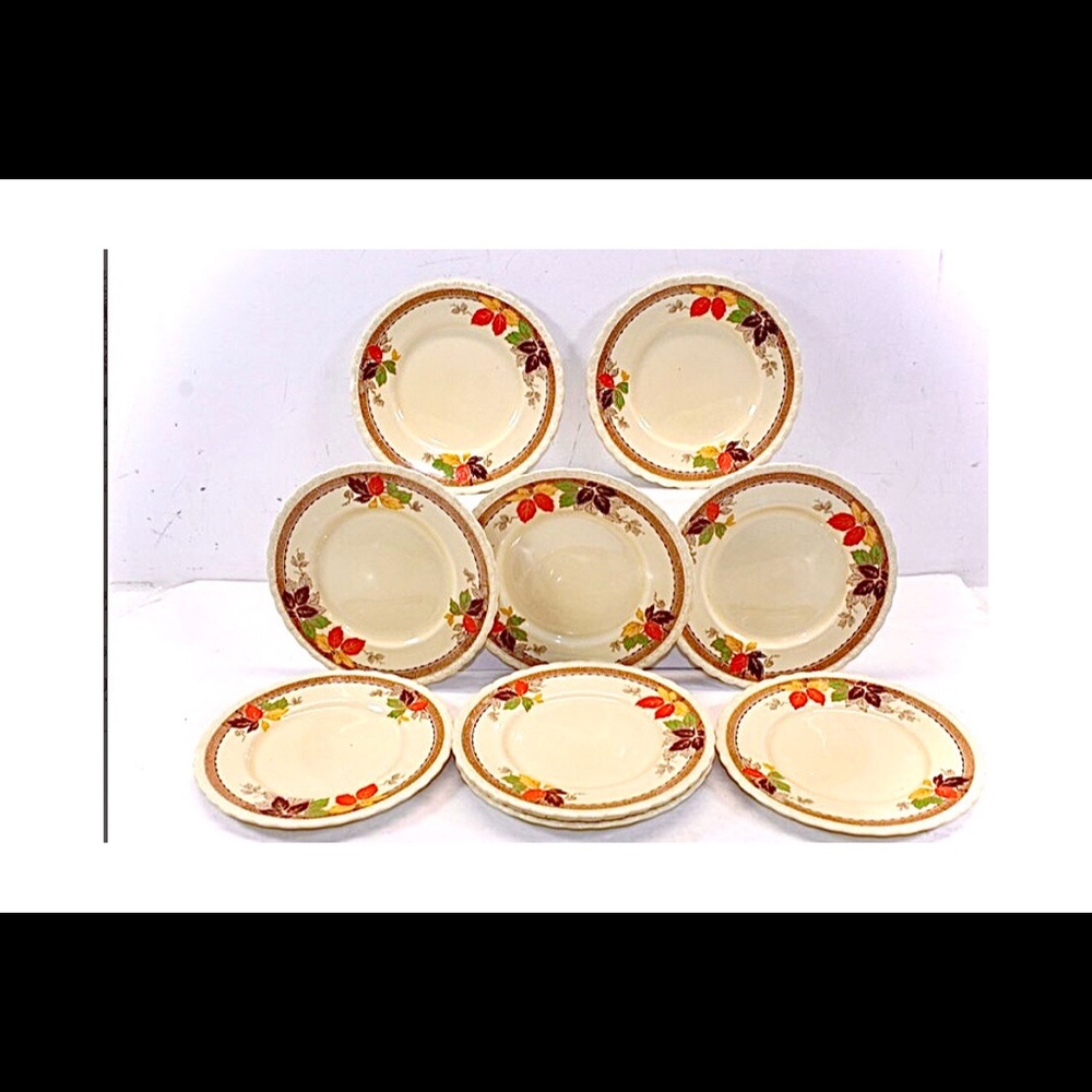 Vintage Myott Staffordshire England